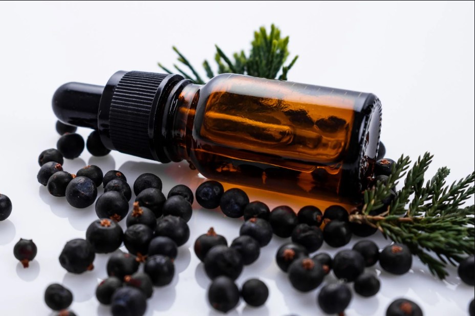 Tinh dầu của quả bách xù giúp thư giãn tinh thần, tạo giấc ngủ sâu