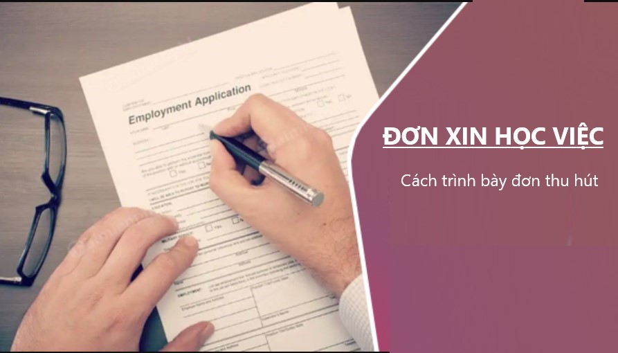 Viết đơn xin học việc hiệu quả