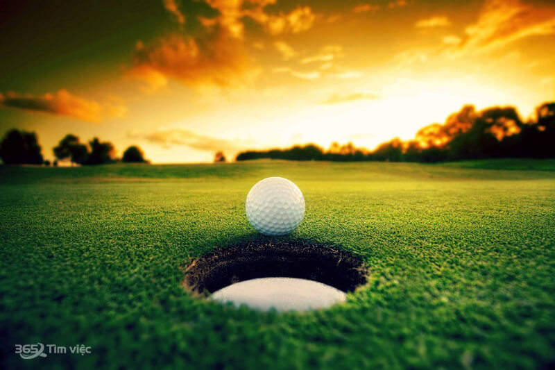 Bạn hiểu về ngành Golf là gì