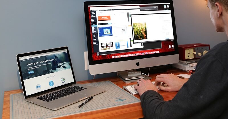 Wordpress Developer