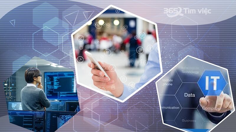 Mức lương trung bình của một Oracle DBA