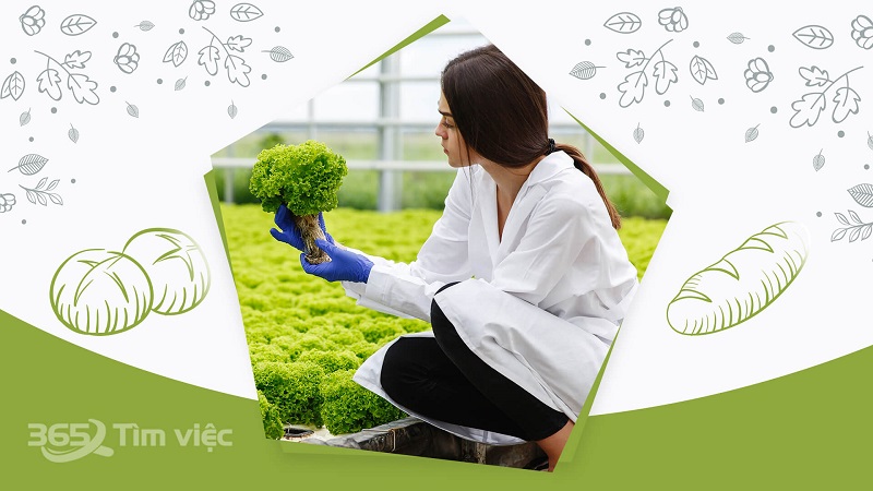 Quyền lợi nhân viên KCS thực phẩm được hưởng