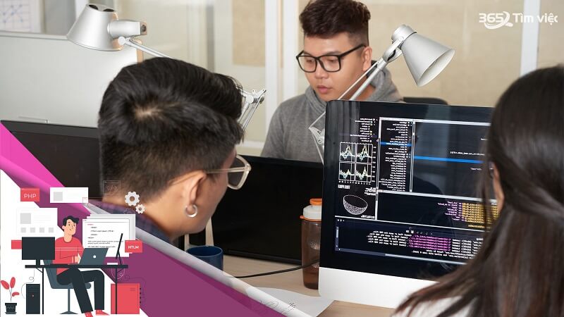Phân loại fresher, junior và senior tester