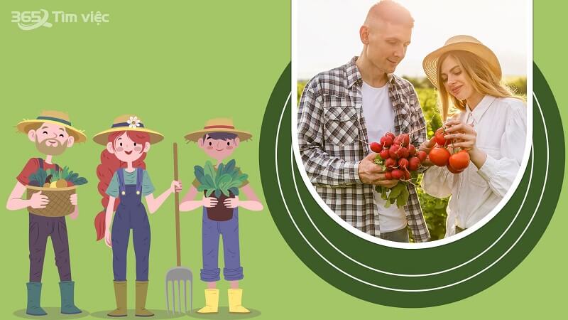 ​ Kinh nghiệm để có thể tìm được việc làm nông trại dễ dàng hơn
