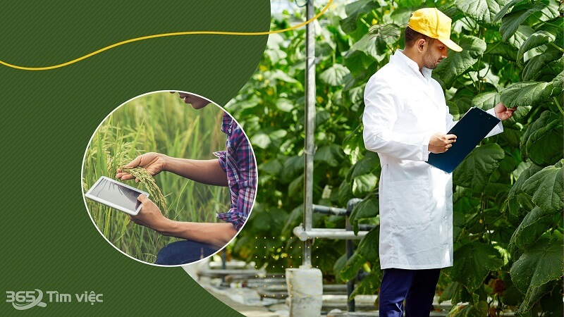 Việc làm nông trại làm những gì?