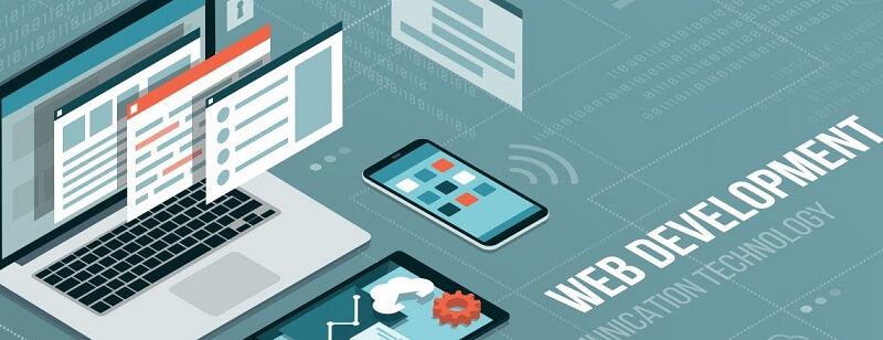 Fresher web developer là gì?