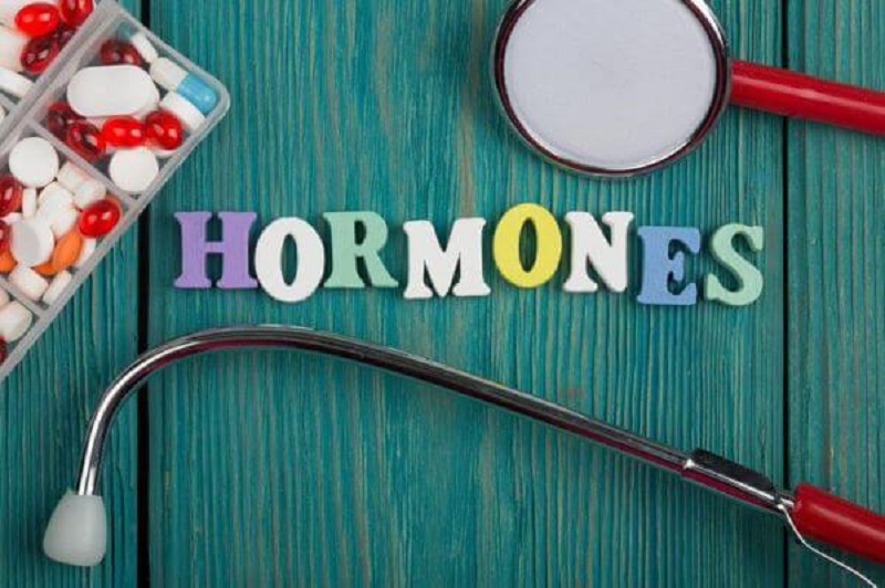 Tuyến yên có vai trò quan trọng trong việc tạo ra hormone