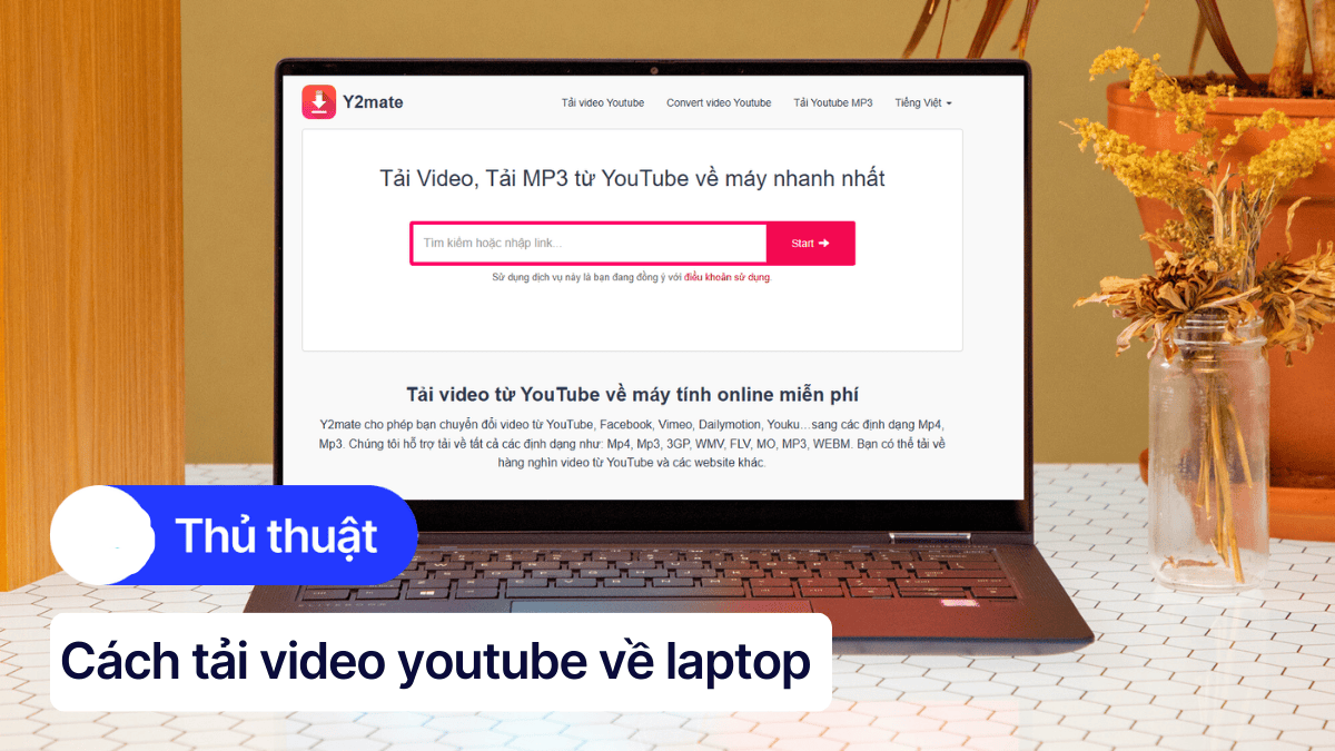 Tải video về máy bằng công cụ hỗ trợ