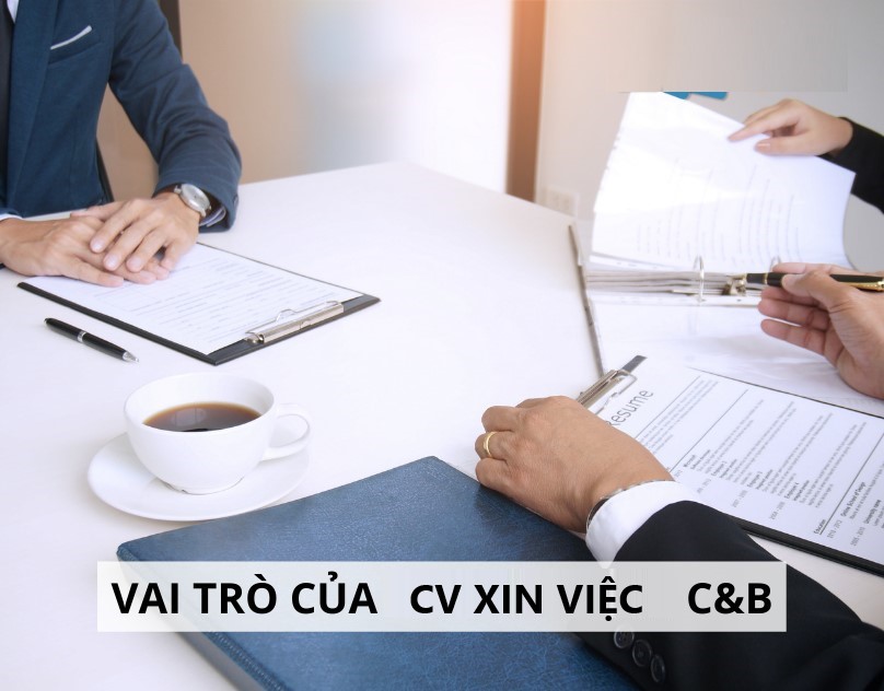 Viết CV C&B cần lưu ý đến những đặc trưng nghề nghiệp