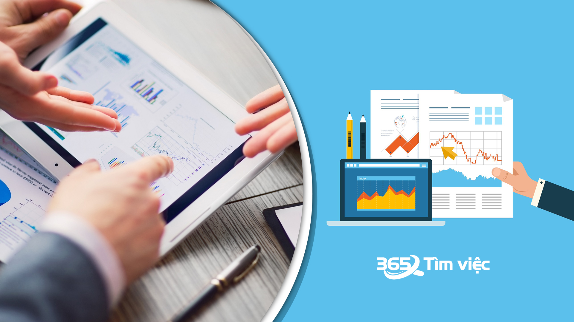 Trưởng phòng phát triển thị trường làm gì?