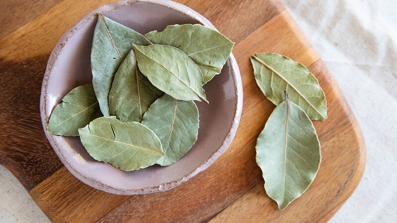 Bay leaf là cách gọi trong tiếng Anh của lá nguyệt quế Hy Lạp