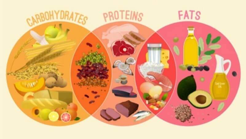 Đặc điểm dinh dưỡng của chất béo