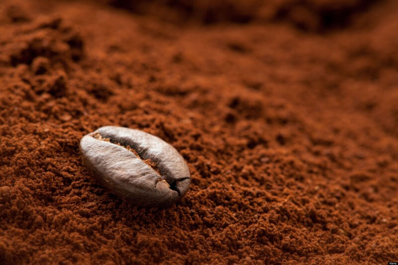 Nguồn gốc của bột cà phê