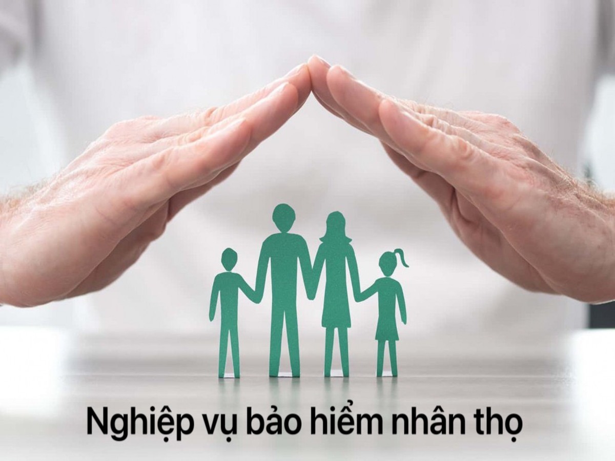 Các công ty bảo hiểm nhân thọ uy tín nhất - nên tìm hiểu để có cơ hội tốt cho đầu tư hay tìm việc