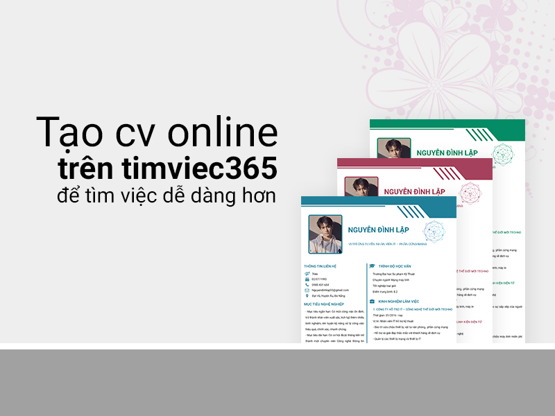 CV xin việc trên timviec365