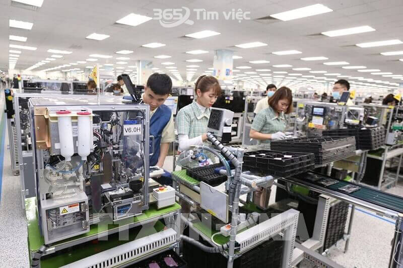 Kết luận trả lời cho câu hỏi “Có nên làm việc ở Samsung không?”