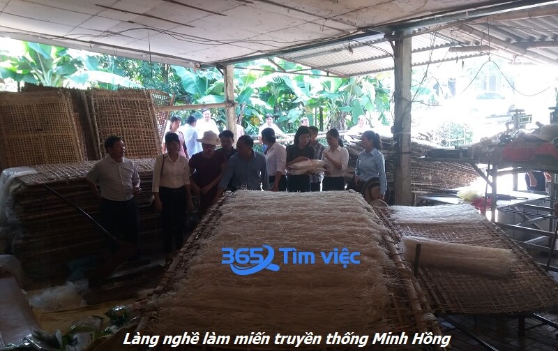 Tìm việc làm tại làng nghề miến dong Minh Hồng