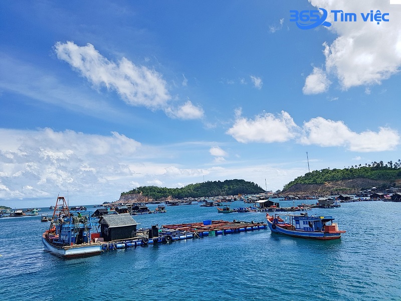 Tốt chất cần có và nhu cầu việc làm của nghề đi biển hiện nay