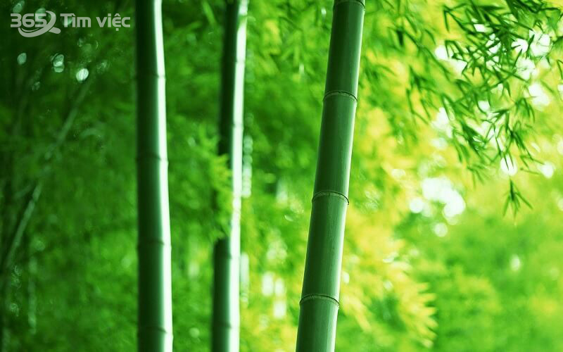 Sự phát triển các làng nghề tre trúc tại Việt Nam