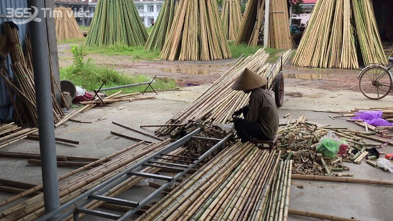 Bắt đầu sản xuất các sản phẩm từ tre trúc