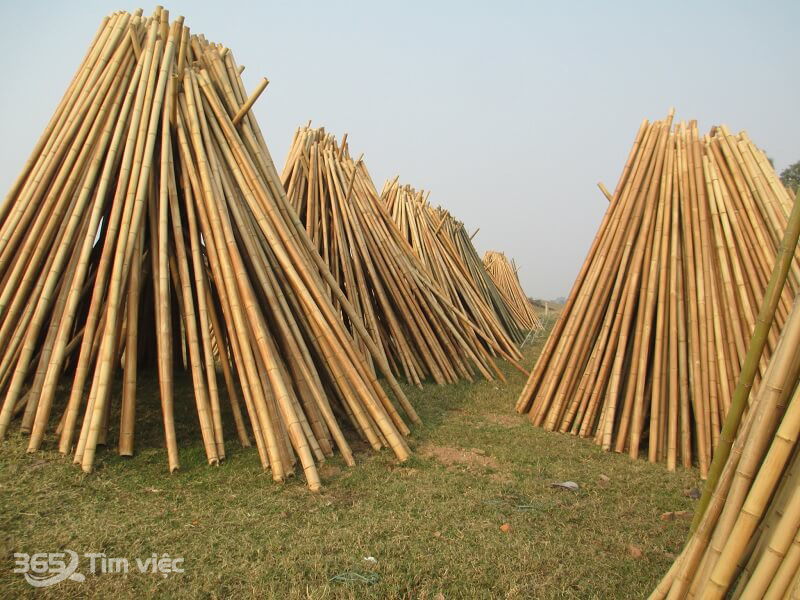 Nghề tre trúc