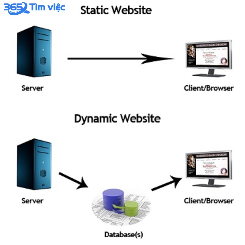 Web động vẫn là sự ưu tiên