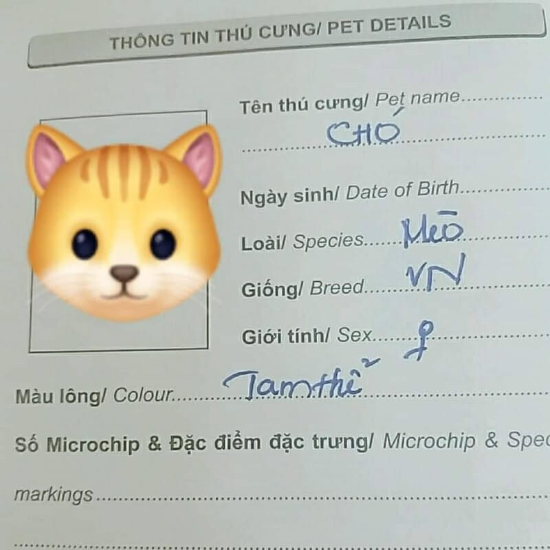 Những lưu ý khi sử dụng microchip lên đối tượng