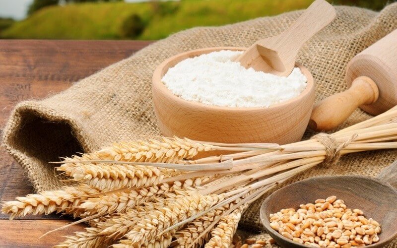 Wheat Flour và tầm quan trọng đối với nền ẩm thực