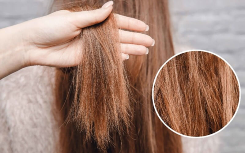 Mật độ dày của tóc rễ tre