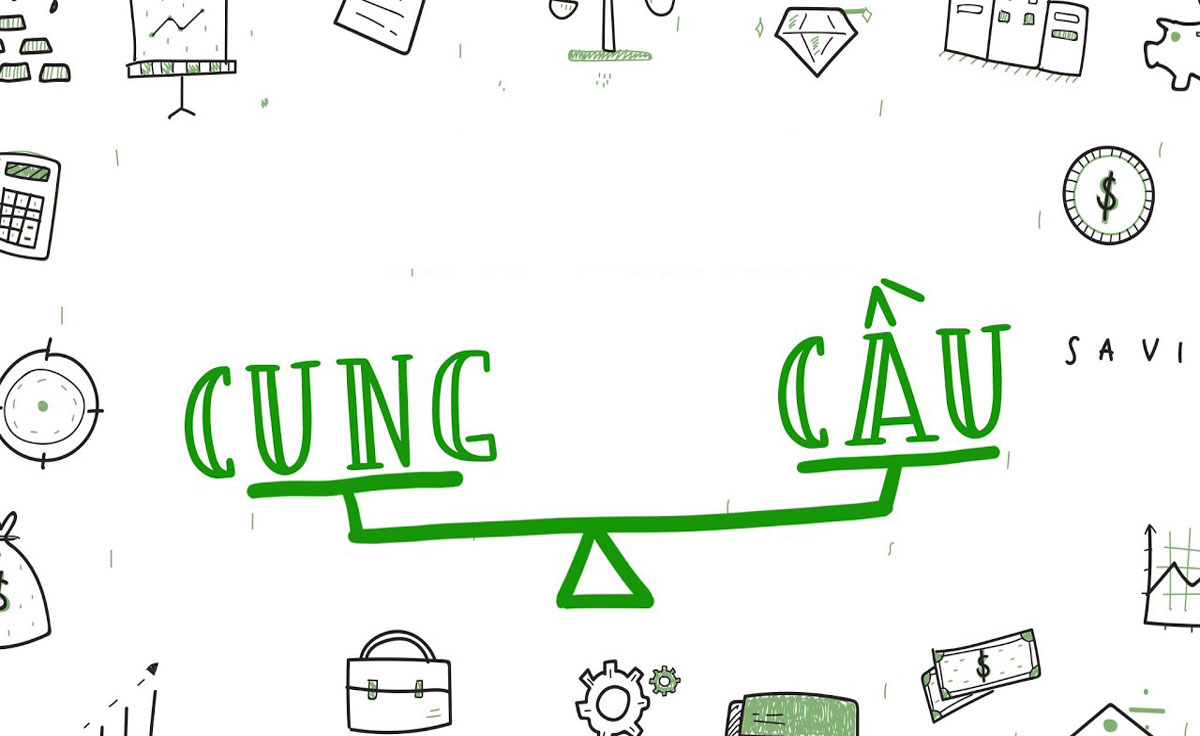 Sự khác biệt giữa đặc cầu và cung cầu truyền thống