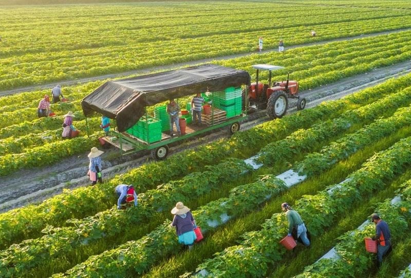 Những thách thức và rào cản khi triển khai kinh tế tuần hoàn ở Việt Nam