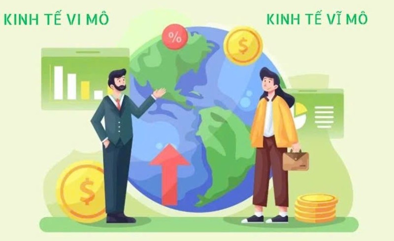Kinh tế vi mô và kinh tế vĩ mô