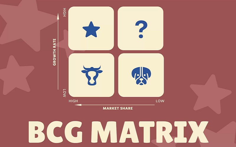 Cần lưu ý điều gì khi phân tích ma trận BCG cho sự nghiệp?