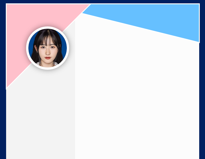 mẫu cv xin việc bằng excel đẹp