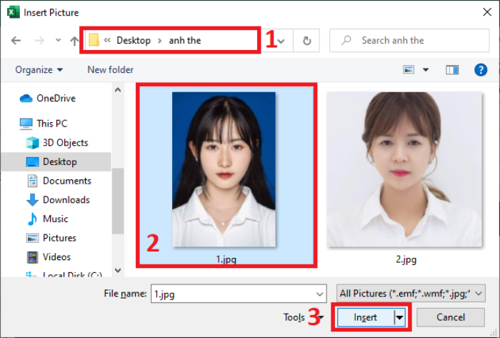 làm cv xin việc bằng excel