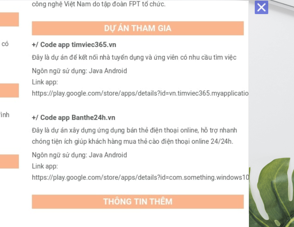 Trình bày thông tin dự án trong CV lập trình để tăng tính thuyết phục