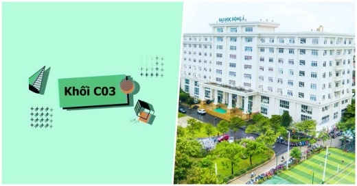 TOP các trường đại học tuyển sinh khối C03