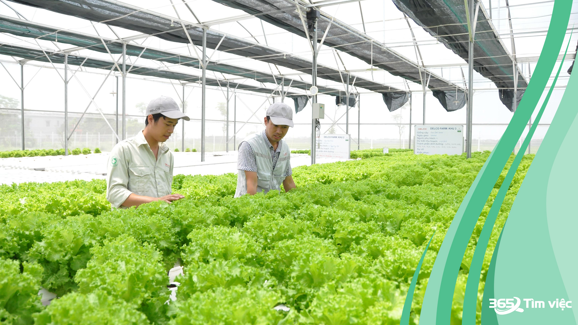 Các mô hình trồng trọt kiểu mới được nghiên cứu áp dụng tại Gia Viễn