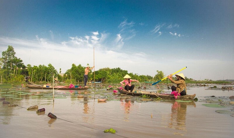 Những đặc điểm thuận lợi cho phát triển việc làm tại Thanh Bình, Đồng Tháp
