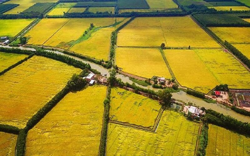 Điều kiện thuận lợi tạo cơ hội việc làm tại huyện Thủ Thừa bạn cần biết