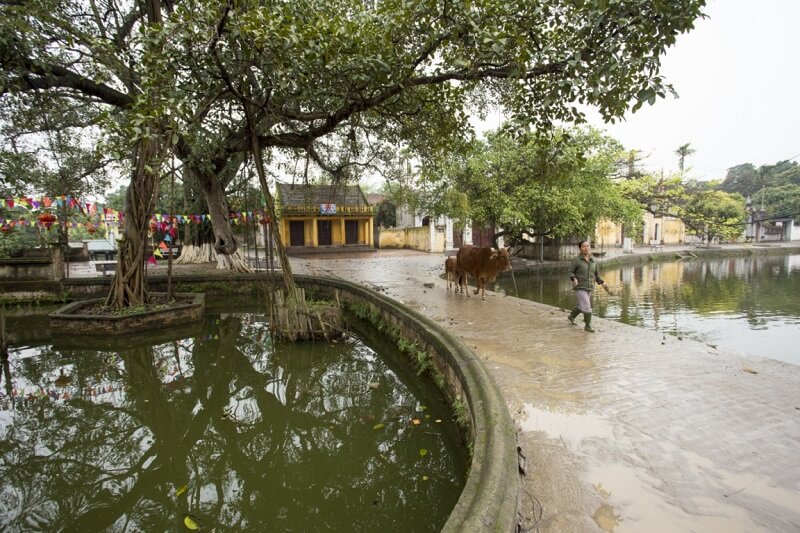 Khái quát về huyện Văn Lâm, Hưng Yên