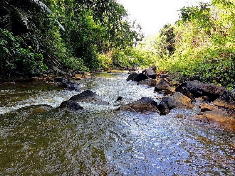 Những lợi thế phát triển ảnh hưởng đến việc làm tại huyện Ninh Sơn