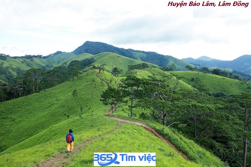 Thông tin chung Huyện Bảo Lâm, Lâm Đồng