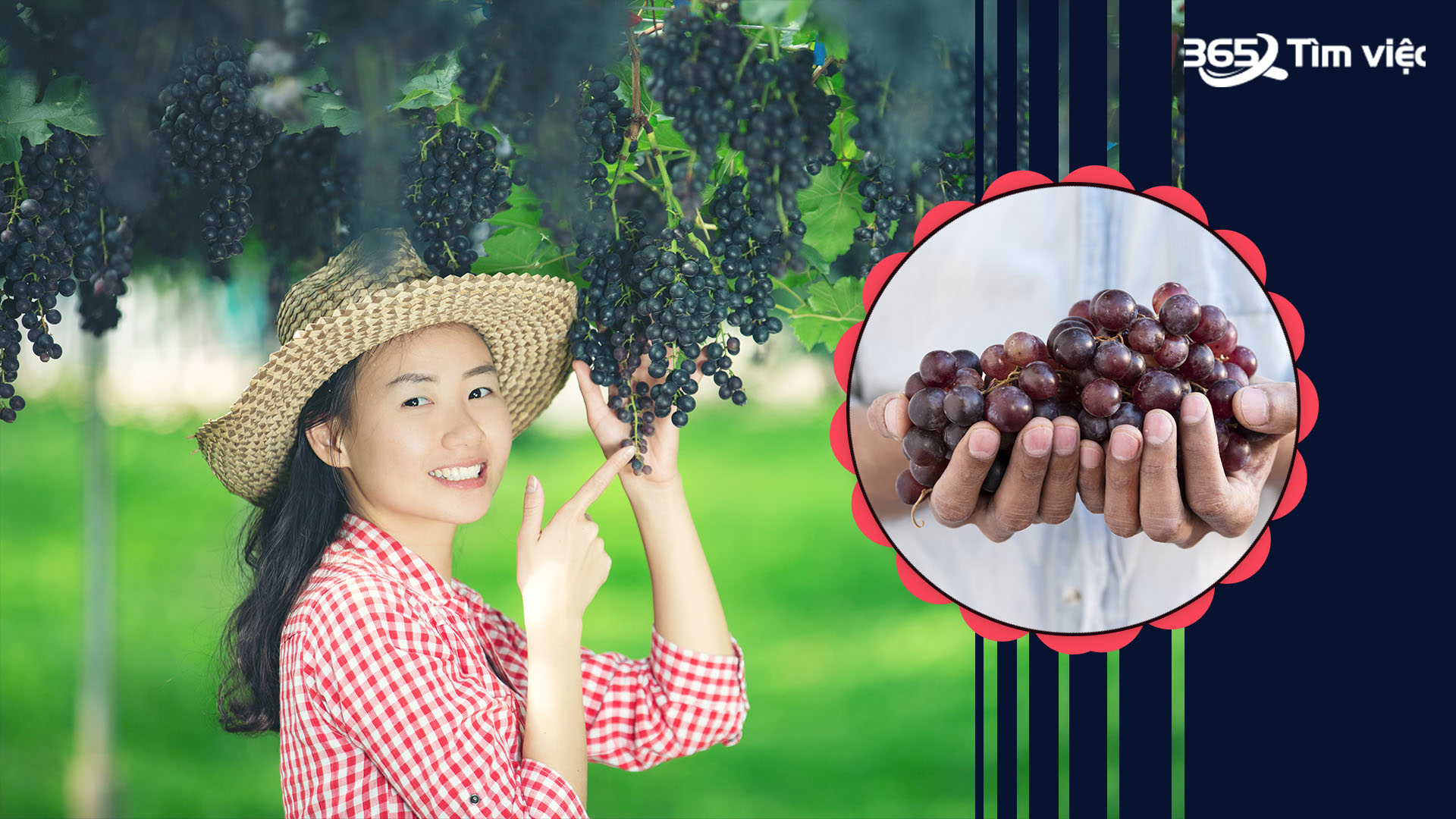 Tìm kiếm việc làm tại Huyện Lai Vung