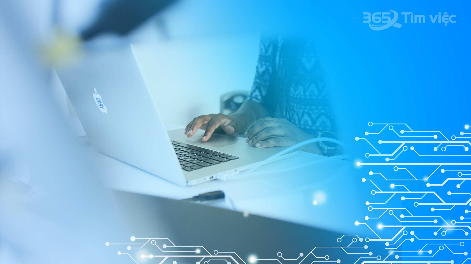 Mức thu nhập và quyền lợi của Quản trị website