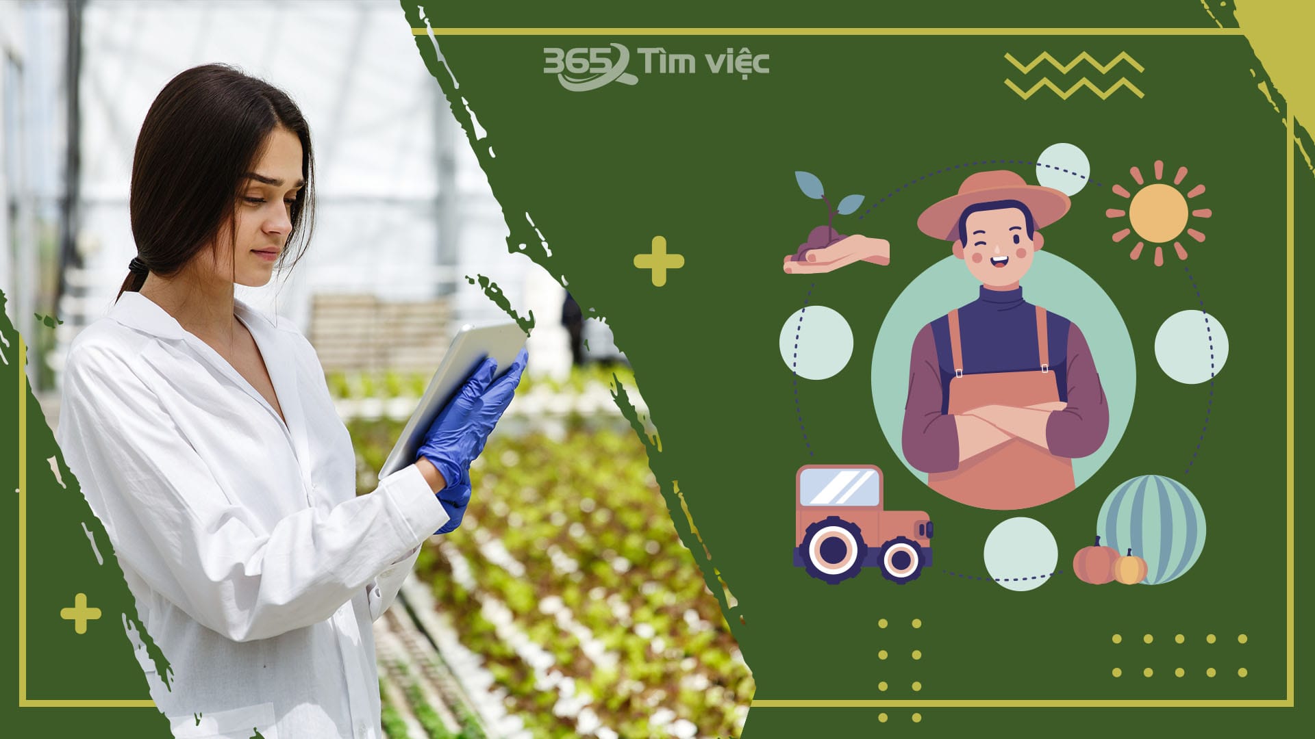 Tỉ lệ cạnh tranh của lao động vào các doanh nghiệp không cao