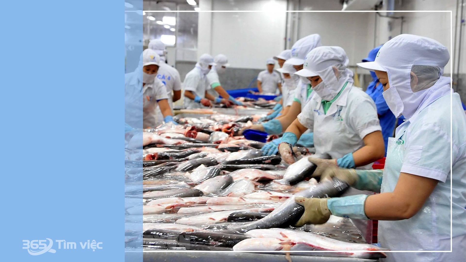 Thủy sản và nông nghiệp
