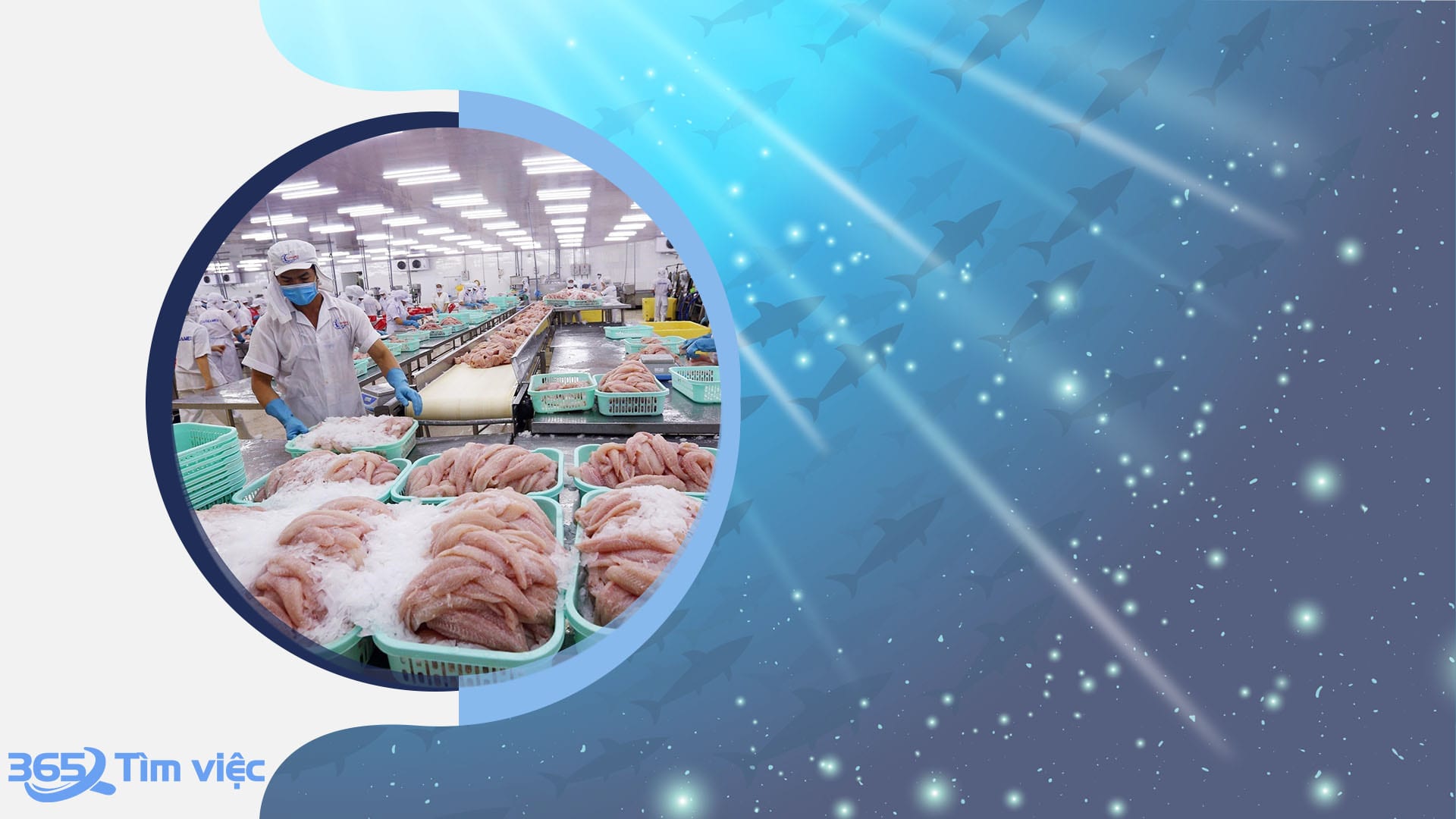 Cơ hội việc làm hấp dẫn dành cho người lao động huyện Châu Thành