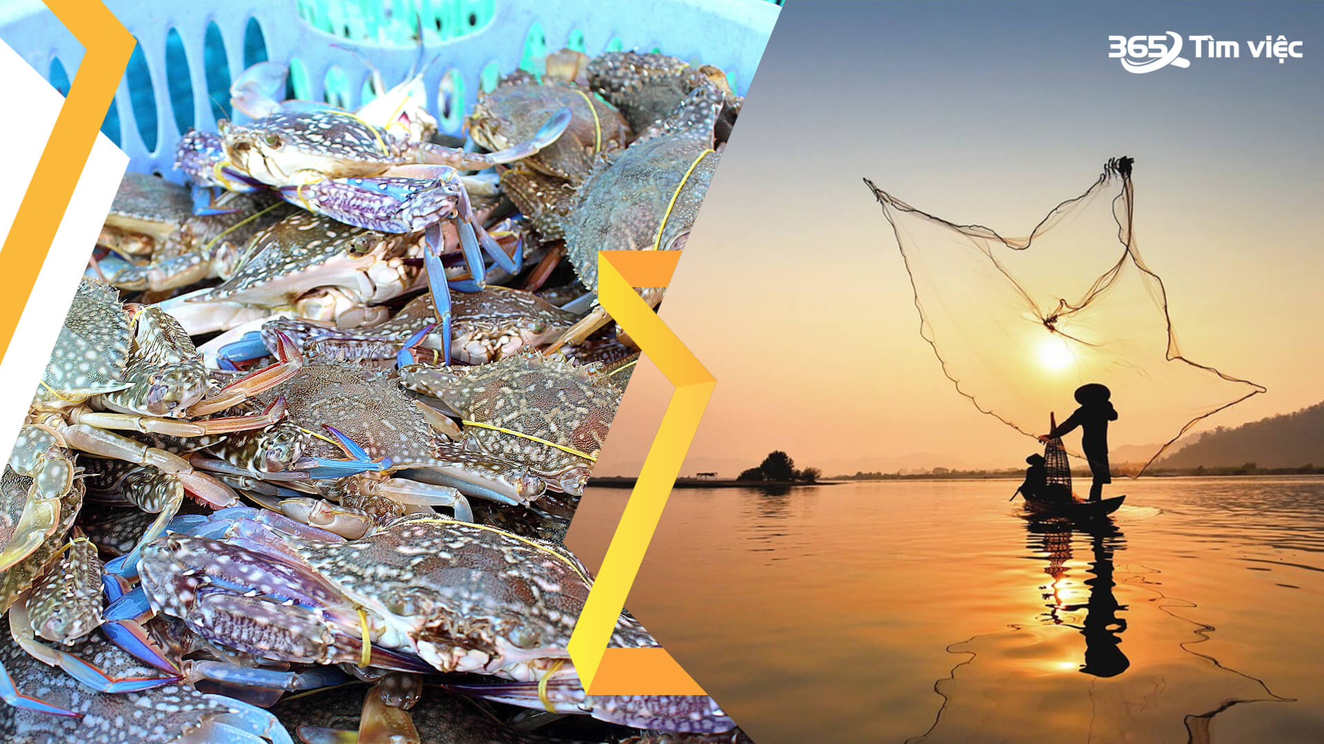 Những lợi thế phát triển việc làm đa dạng tại huyện Châu Thành, Tây Ninh 