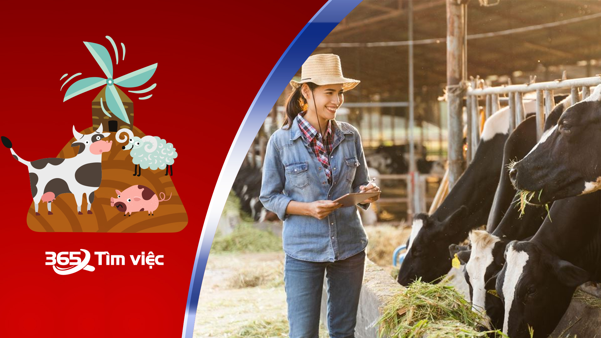 Việc làm tại huyện Dầu Tiếng, Bình Dương với ngành sản xuất - chế biến và tiêu thủ nông sản nông nghiệp